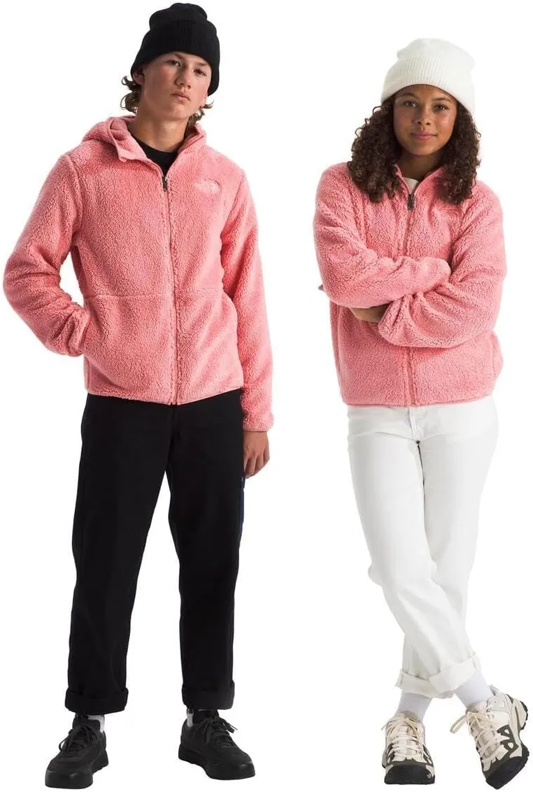 THE NORTH FACE Teen Campshire Full Zip Hoodie