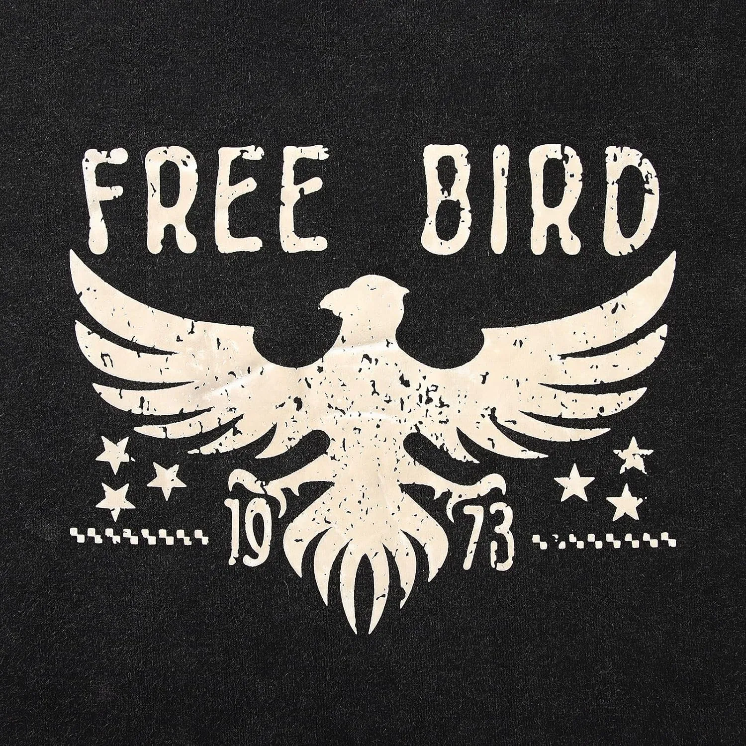 Vintage Rock Band T-Shirts for Women Retro Free Bird Eagle Graphic Country Music Tees Casual Loose Short Sleeve Tops